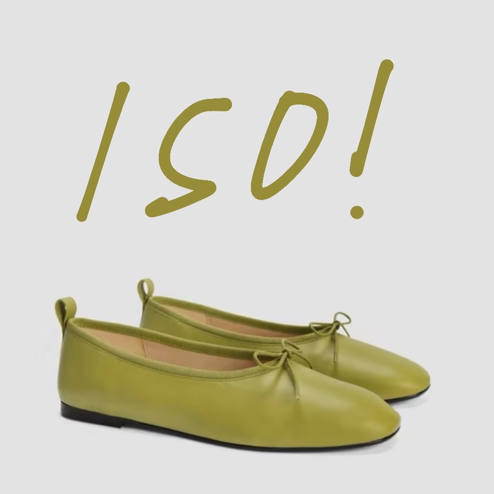LOOKING FOR Everlane Moss Green Ballet Flats